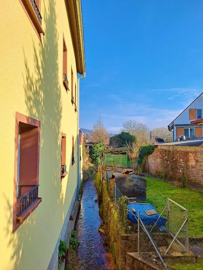 Apartment Apartamento Albertina Kleinheubach Germany