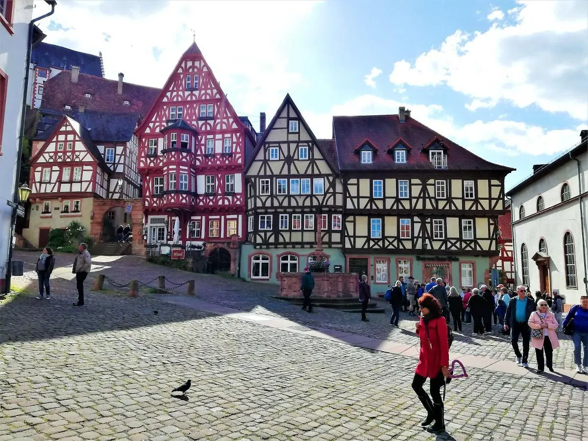 Apartamento Albertina Kleinheubach Germany