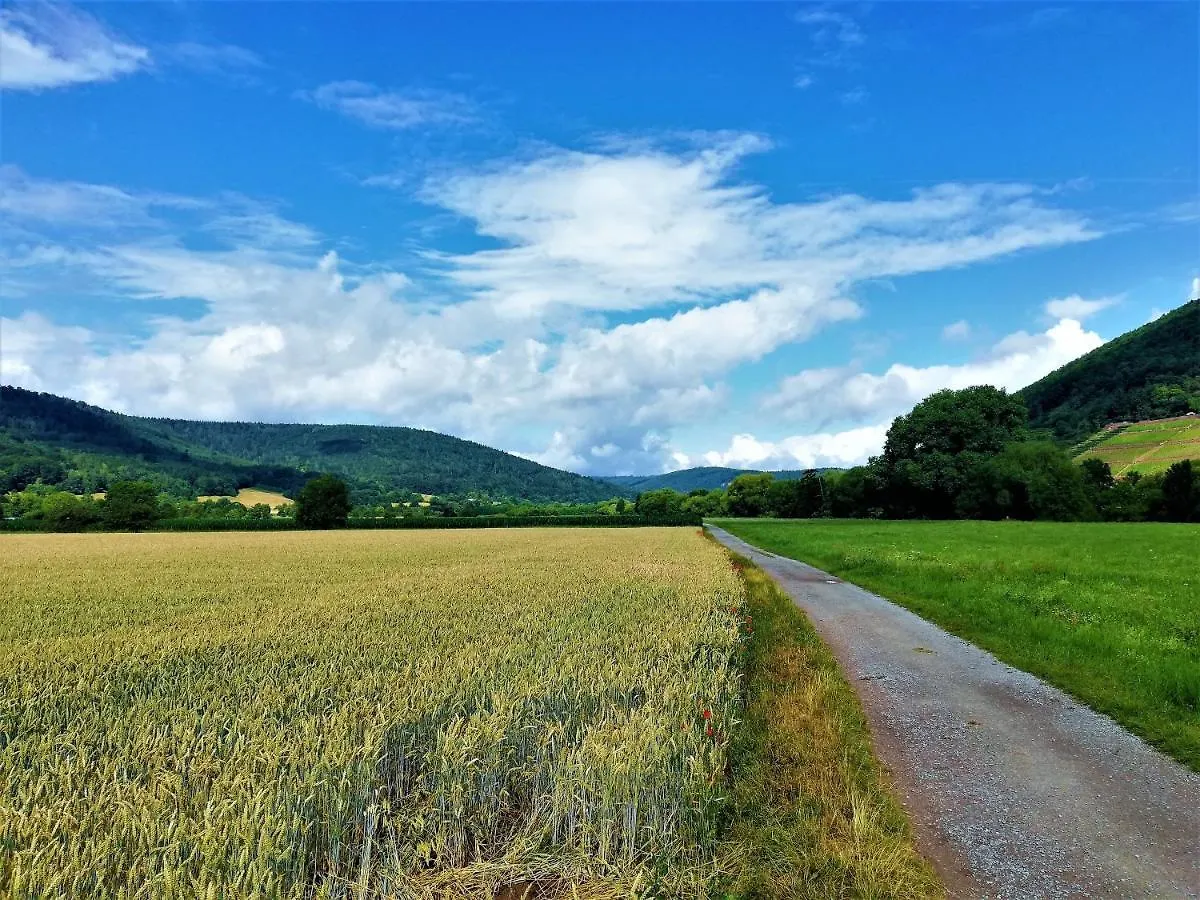 Apartamento Albertina Kleinheubach