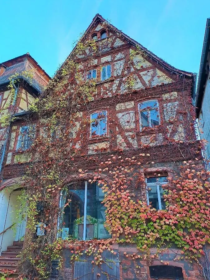 Apartamento Albertina Kleinheubach