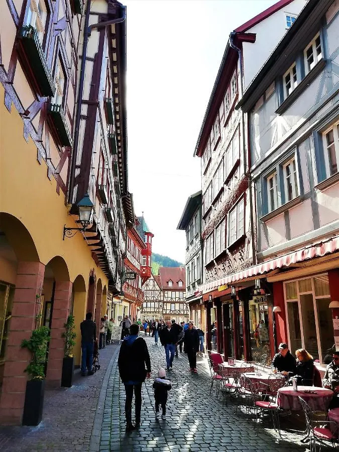 Apartamento Albertina Kleinheubach Germany